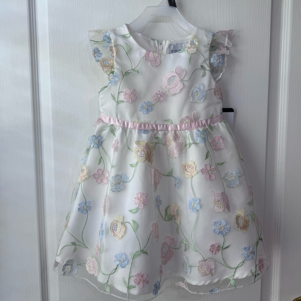 NWT Rare Editions toddler Girls Floral Embroidered Mesh Social Dress 3T